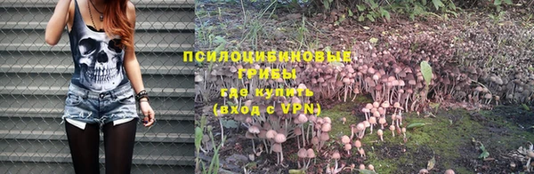 МДПВ Володарск