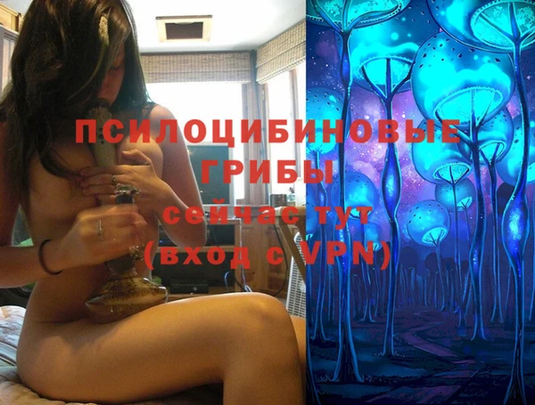 стаф Бородино