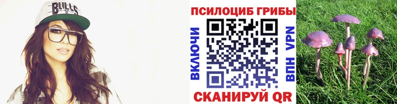 Галлюциногенные грибы прущие грибы  Инсар 